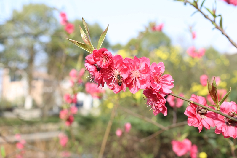 IMG_2543_副本.jpg