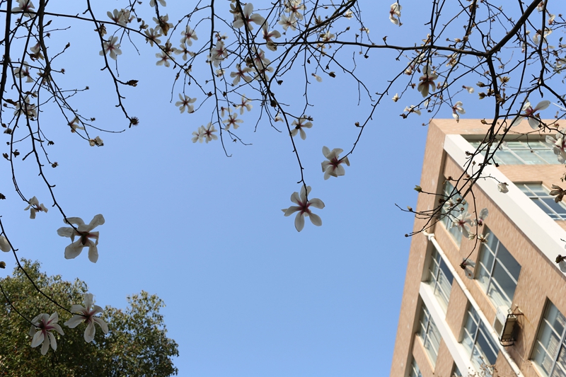 IMG_2521_副本.jpg